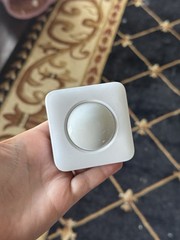 SimpliSafe Motion Sensor CA001