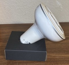 NEW SENGLED SNAP Outdoor 60W LED + Wireless Security Camera