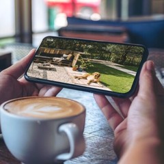 Blink Outdoor 4 3 Camare Security Bundle with Echo Show 5 and Blink Mini Indoor