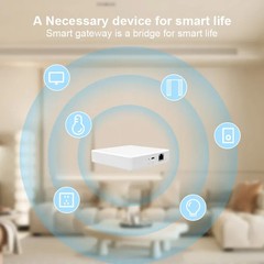 Matter Gateway Bridge Siri Homekit Smart Things Remote Control Voice Control Lot