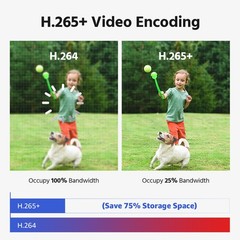 ANNKE 8CH NVR 4K POE Dual Lens Security Camera System Color Night Two Way Audio