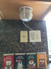 SturdyGrip™ Apple HomePod Mini & Amazon Echo Dot Ceiling Mount / Wall Mount