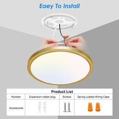 Peasur 12 Inch LED Ceiling Light Gold, 24W Slim Flush Mount 12IN-1 Pack, Gold