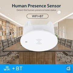 1-Human Presence Sensor Detect Human Presence None Status Body Motion WRTE