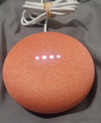 RARE COLOR …NEW Google Nest Mini Smart Speaker + Genuine Power cord Coral