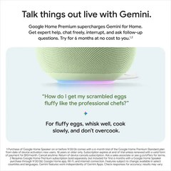 Google Home Speaker Smart Speaker Gemini Voice Assistant (Porcelain)