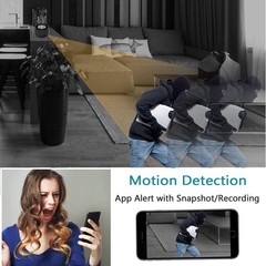 Motion Detection Mini Cam with Alert System