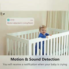 Robust Wyze Cam V3: Security Camera with Voice Control & 128GB Card