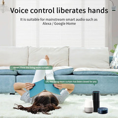 Wifi Smart Switch with RF 433Mhz Remote Tuya Smart Life Alexa Google App Voice C
