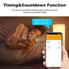 Smart Plug WiFi Socket Power Monitoring Voice Control Support Alexa Google LOT