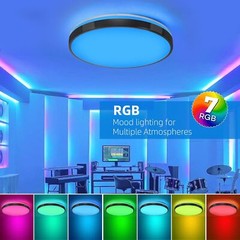 24W Music Ceiling Light, Black Flush Mount BLack-24W Lamp