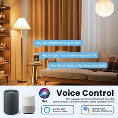 Matter Gateway Bridge Siri Homekit Smart Things Remote Control Voice Control Lot