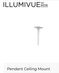 IllumiVue by MSTR Pendant Ceiling Mount for IP Security Camera – White