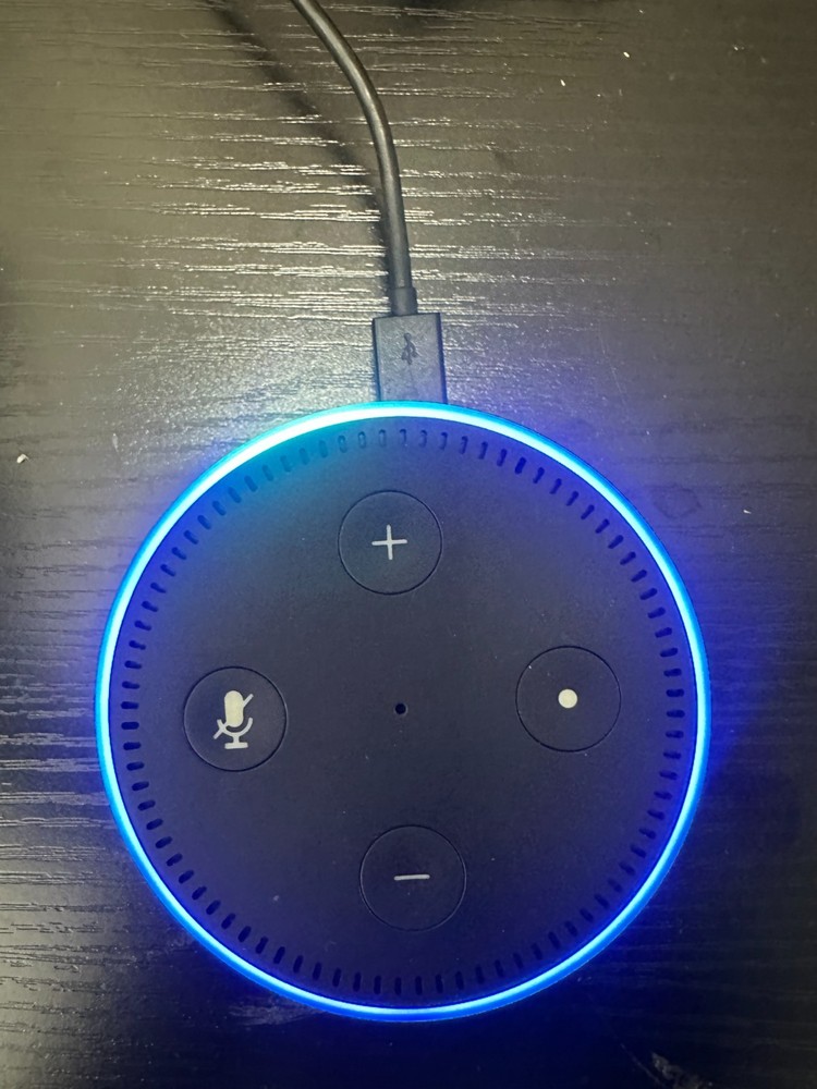 Amazon Echo Dot (2nd Gen) Smart Speaker Black Alexa Tested Working w/ USB Cable