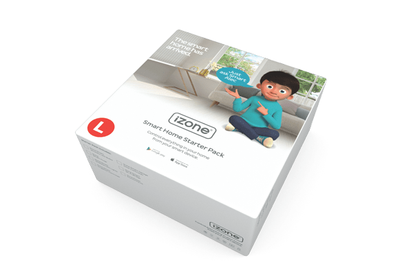 Image of a Large iZone Smart Home Package Box